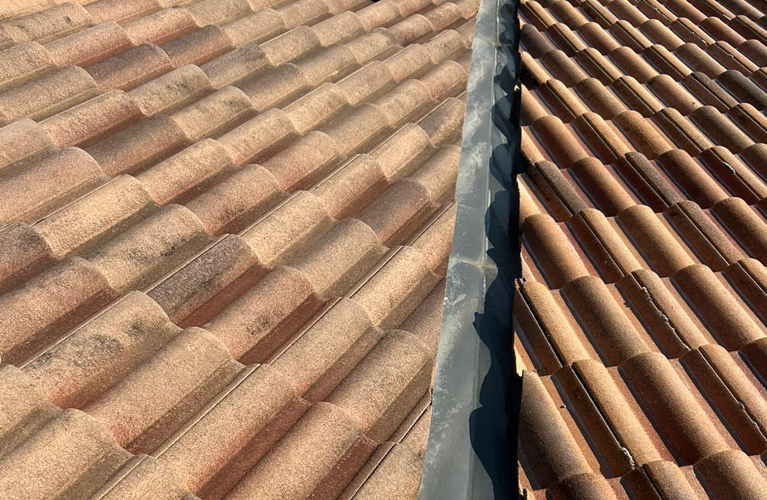 démoussage en Bretagne