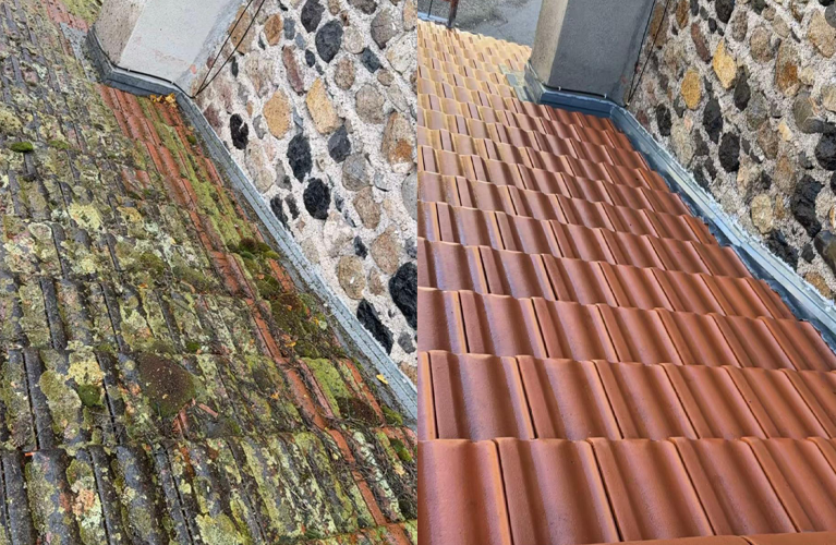 démoussage en Pays de la Loire